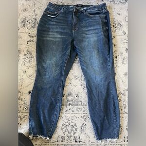 Judy blue raw hem size 22w skinny fit euc